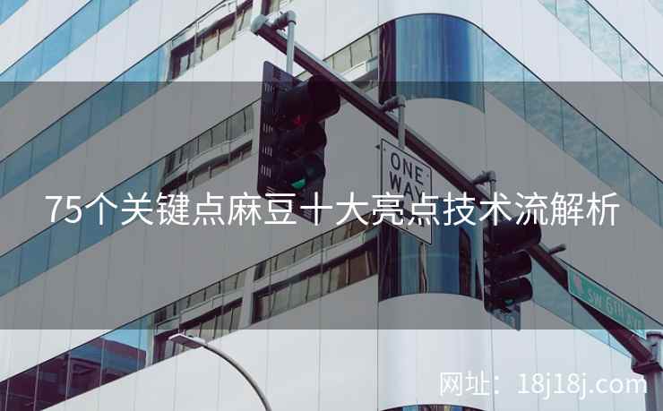 75个关键点麻豆十大亮点技术流解析