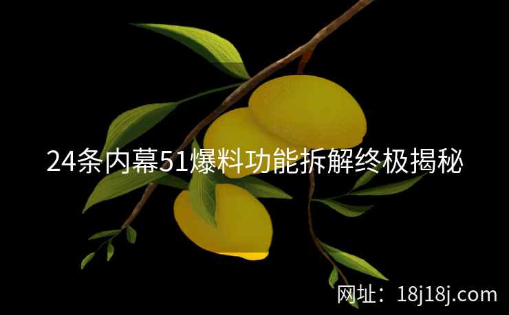 24条内幕51爆料功能拆解终极揭秘 24条内幕51爆料功能拆解终极揭秘