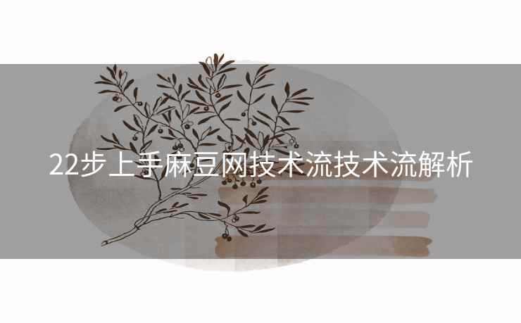 22步上手麻豆网技术流技术流解析 22步上手麻豆网技术流技术流解析