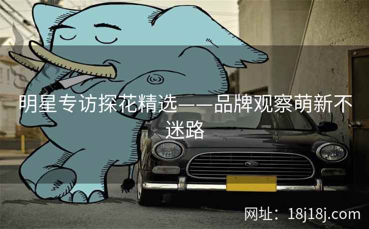 明星专访探花精选——品牌观察萌新不迷路