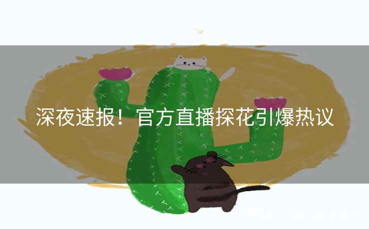 深夜速报！官方直播探花引爆热议
