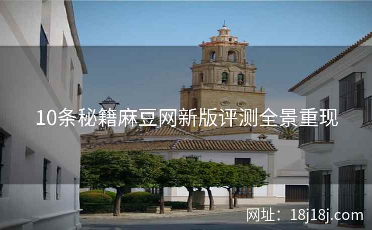 10条秘籍麻豆网新版评测全景重现