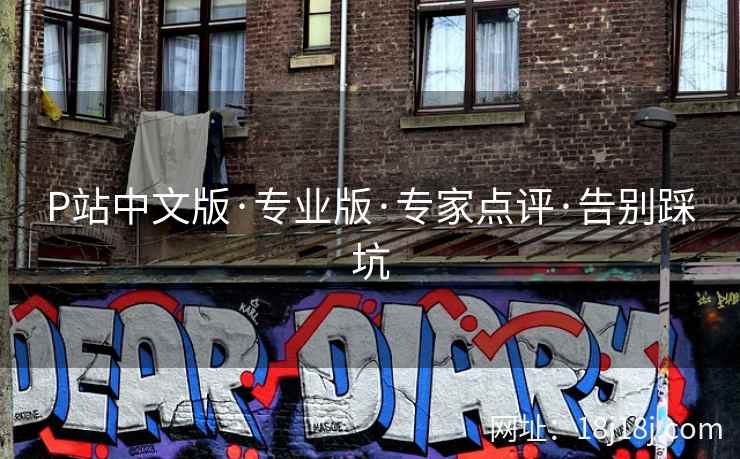 P站中文版·专业版·专家点评·告别踩坑