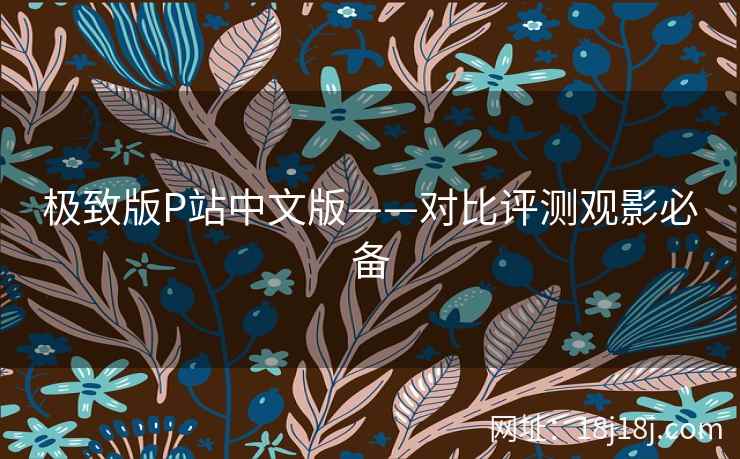 极致版P站中文版——对比评测观影必备