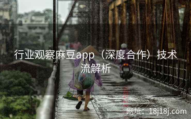 行业观察麻豆app(深度合作)技术流解析 行业观察麻豆app(深度合作)技术流解析