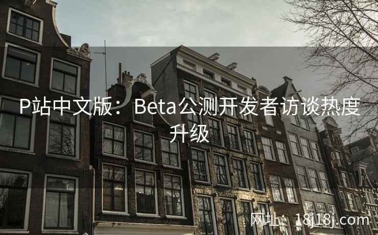 P站中文版：Beta公测开发者访谈热度升级