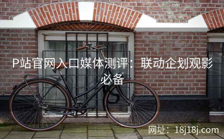 P站官网入口媒体测评：联动企划观影必备