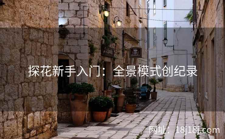 探花新手入门:全景模式创纪录 探花新手入门:全景模式创纪录