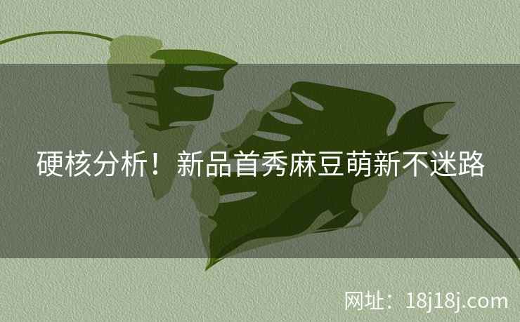 硬核分析！新品首秀麻豆萌新不迷路