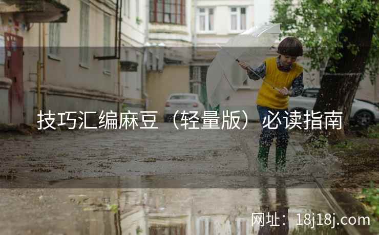技巧汇编麻豆（轻量版）必读指南